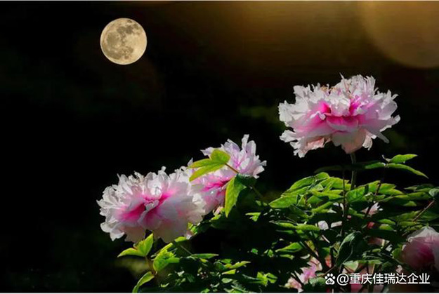 月圆中秋，感恩遇见