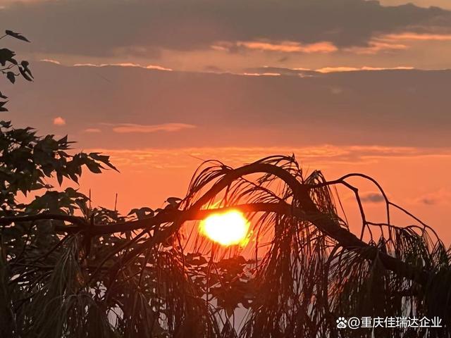 长青生态城的一日三景
